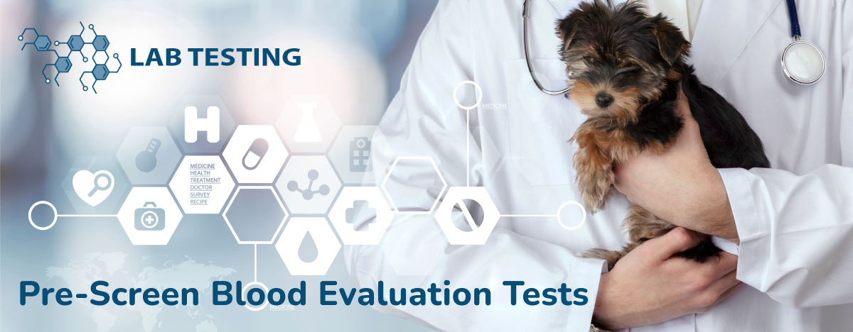 Premier Care+ with Lab Testing