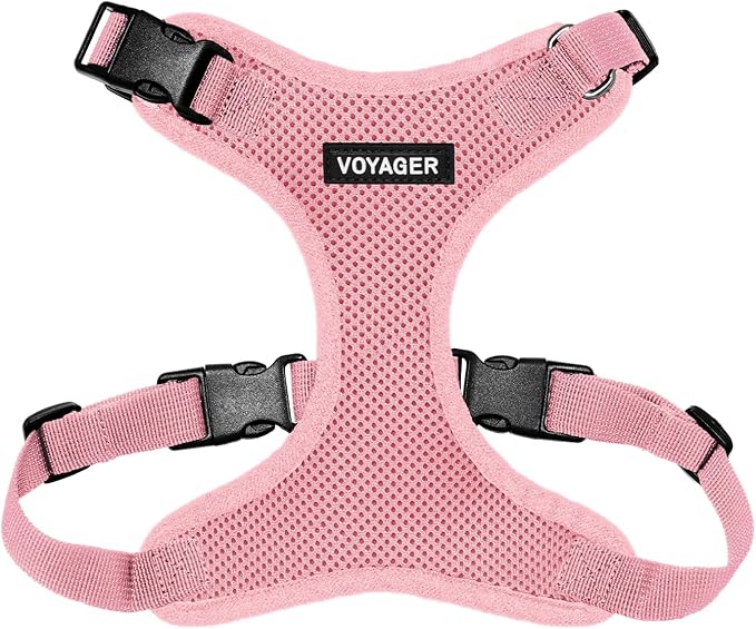 Adjustable Harness 