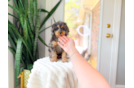 Cavapoo Pup Being Cute