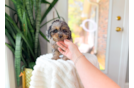 Best Cavapoo Baby