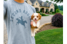 Cavapoo Pup Being Cute