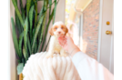 Best Cavapoo Baby