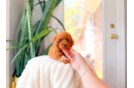Cute Cavapoo Poodle Mix Pup