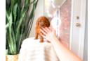 Cute Cavapoo Poodle Mix Pup