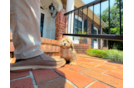Cute Havadoodle Poodle Mix Puppy