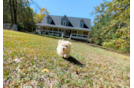 Best Maltipoo Baby