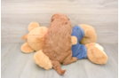 Smart Mini Goldendoodle Poodle Mix Pup