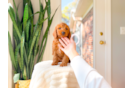 Mini Goldendoodle Pup Being Cute