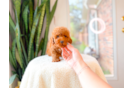 Cute Poodle Baby