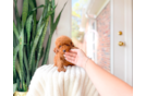 Cute Pooodle Purebred Puppy