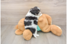 Best Teddy Bear Baby