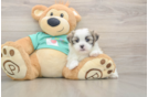 Sweet Teddy Bear Baby