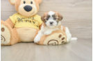 Cute Teddy Bear Baby
