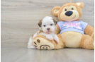 Best Teddy Bear Baby