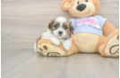Happy Teddy Bear Baby