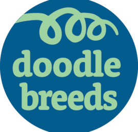 Doodle Breeds Puppies For Sale - Simply Southern Pups