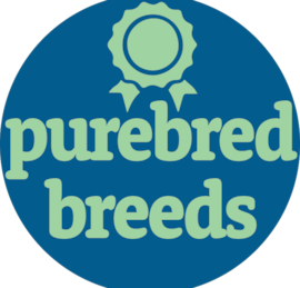 Purebred Breeds Puppies For Sale - Simply Southern Pups