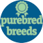 Purebred Breeds Puppy For Sale - Simply Southern Pups