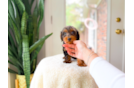 Cute Yorkie Poo Poodle Mix Pup