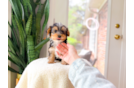 Cute Yorkshire Terrier Baby
